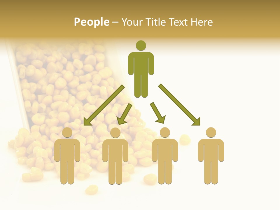 Canned Isolated Sweet Corn PowerPoint Template