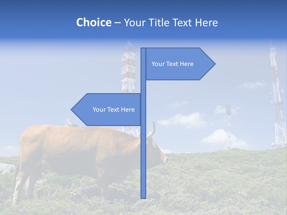 Nature Green Dish PowerPoint Template