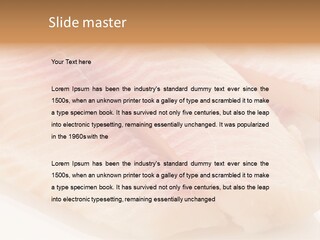 Barbecue Eat Tilapiini PowerPoint Template