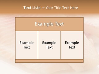 Barbecue Eat Tilapiini PowerPoint Template