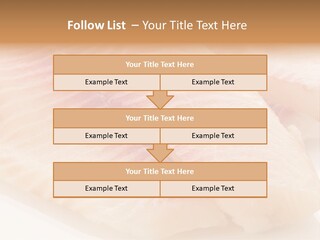 Barbecue Eat Tilapiini PowerPoint Template