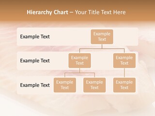 Barbecue Eat Tilapiini PowerPoint Template