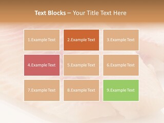 Barbecue Eat Tilapiini PowerPoint Template