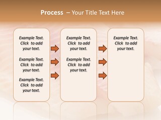 Barbecue Eat Tilapiini PowerPoint Template