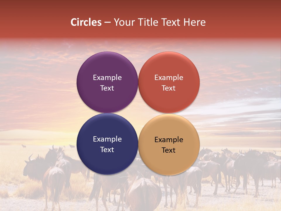 Gnu Africa Mammal PowerPoint Template