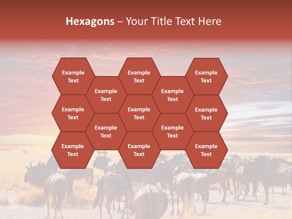 Gnu Africa Mammal PowerPoint Template