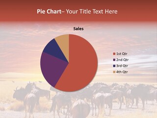 Gnu Africa Mammal PowerPoint Template