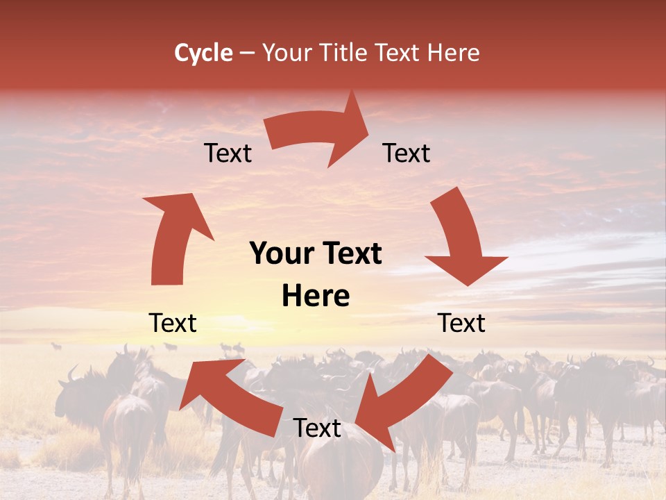 Gnu Africa Mammal PowerPoint Template