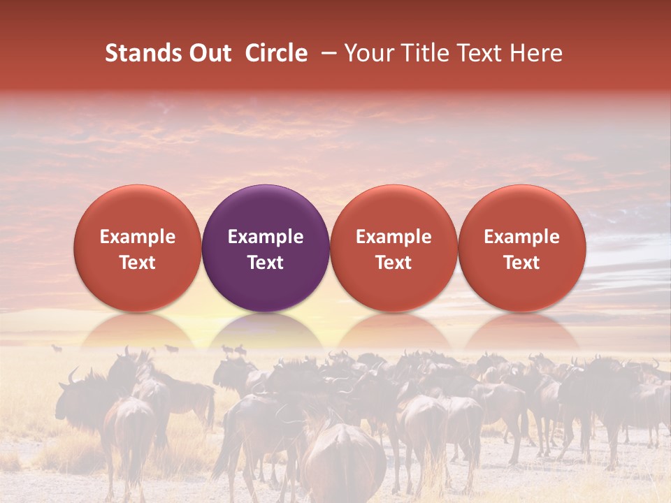 Gnu Africa Mammal PowerPoint Template