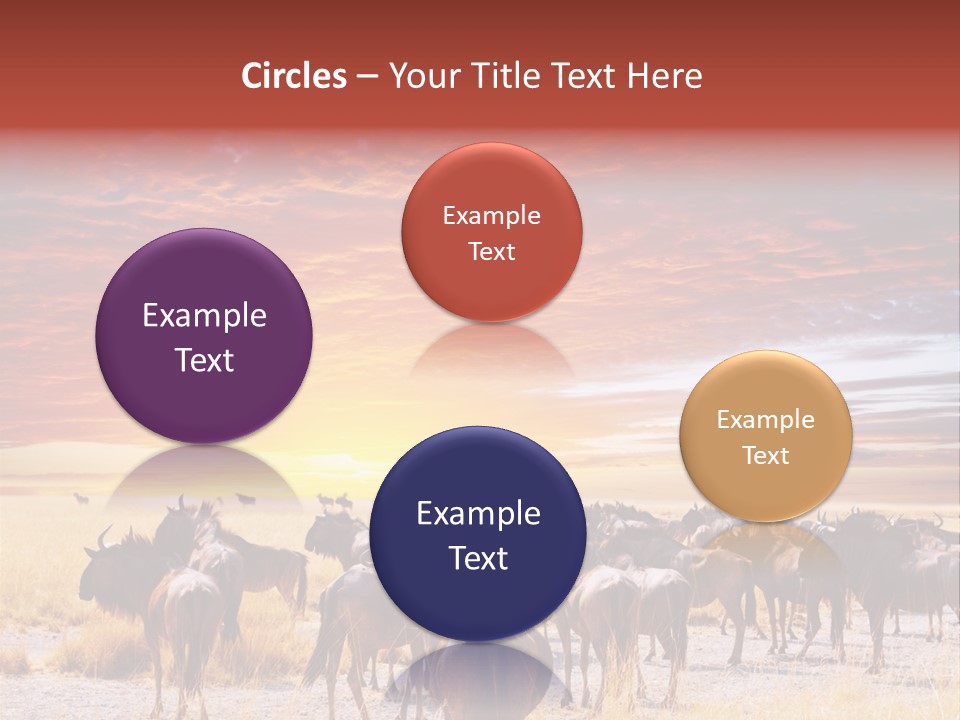 Gnu Africa Mammal PowerPoint Template