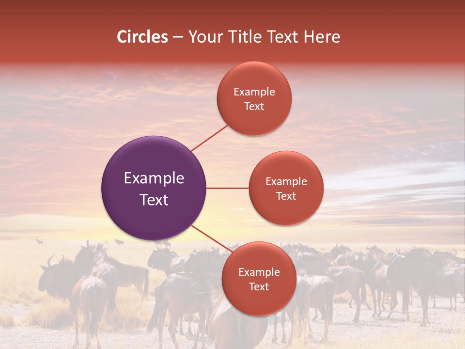Gnu Africa Mammal PowerPoint Template