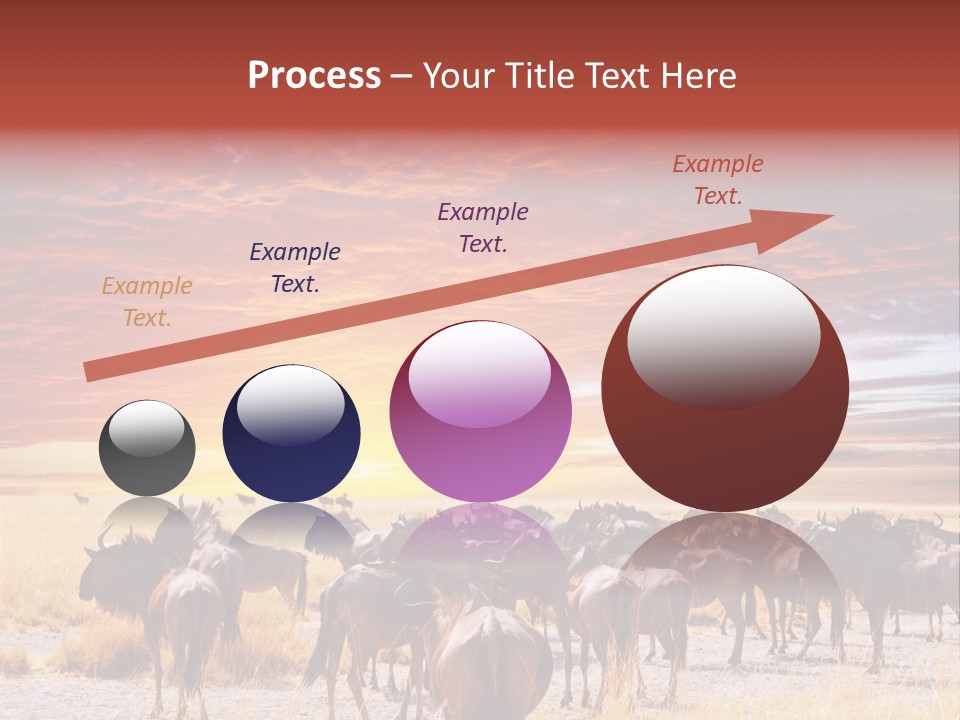 Gnu Africa Mammal PowerPoint Template