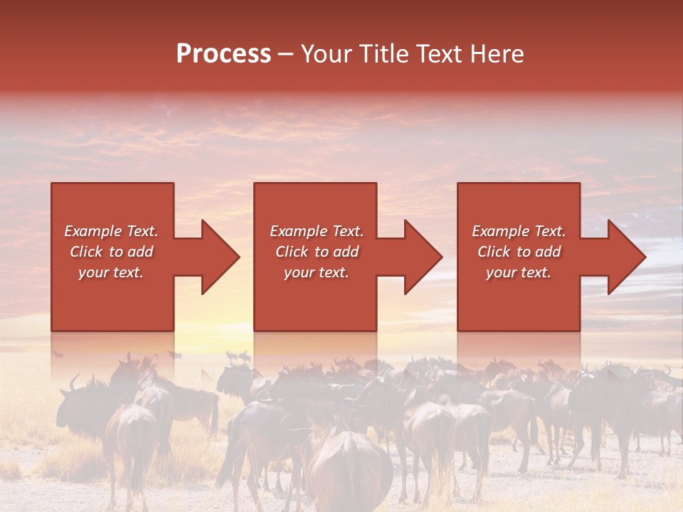 Gnu Africa Mammal PowerPoint Template