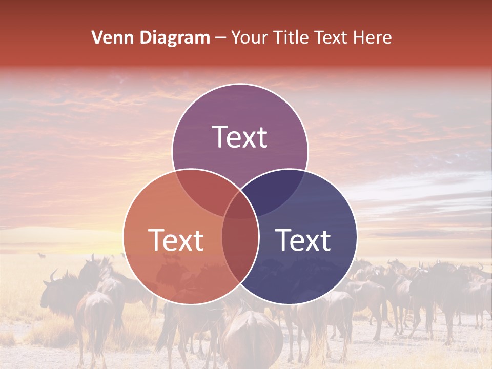 Gnu Africa Mammal PowerPoint Template