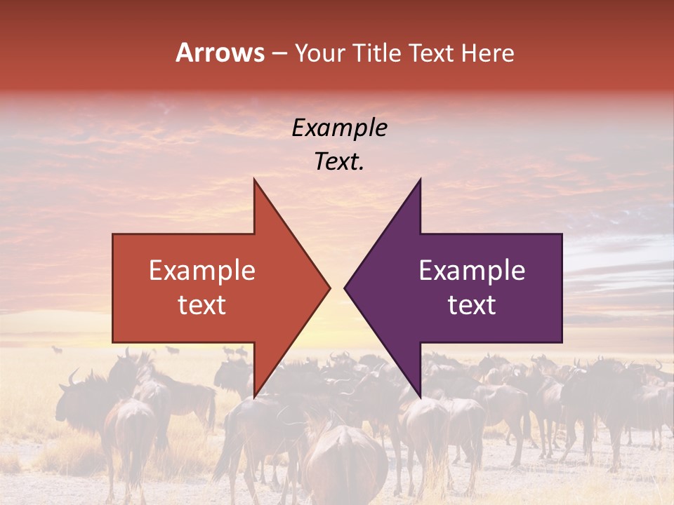 Gnu Africa Mammal PowerPoint Template