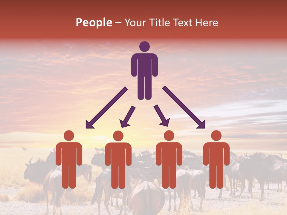 Gnu Africa Mammal PowerPoint Template