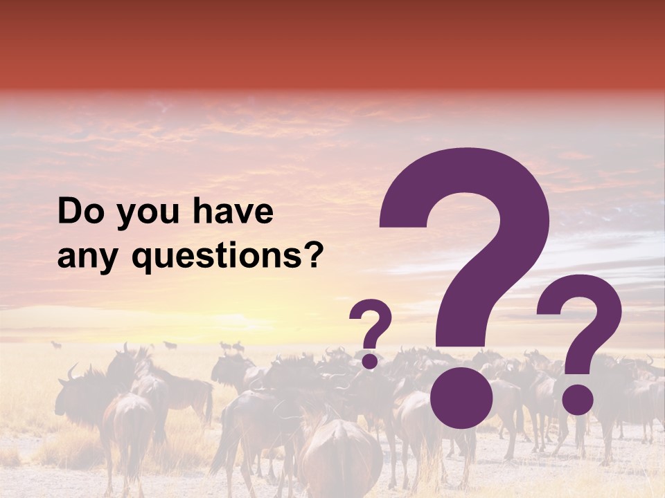 Gnu Africa Mammal PowerPoint Template