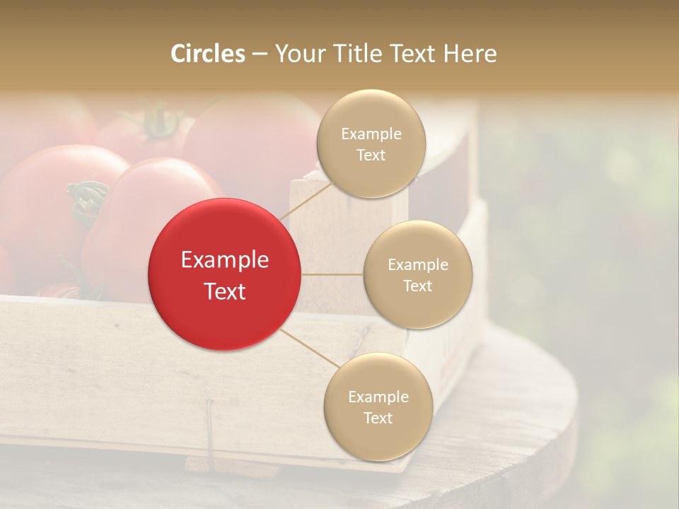 Drop Round Closeup PowerPoint Template