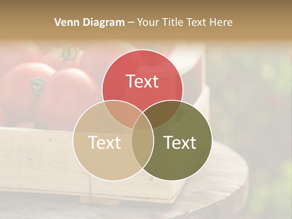 Drop Round Closeup PowerPoint Template
