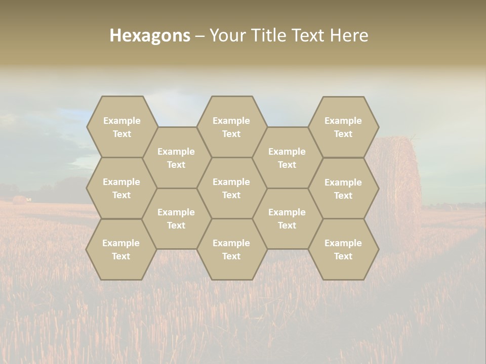 Stump Bale Cutting PowerPoint Template