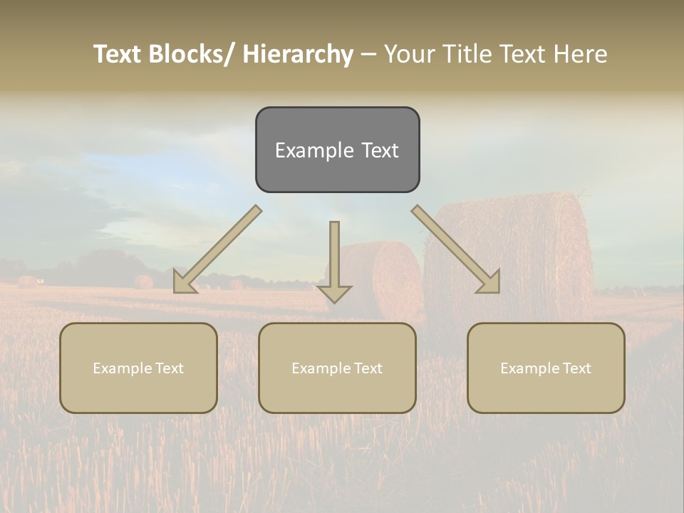 Stump Bale Cutting PowerPoint Template