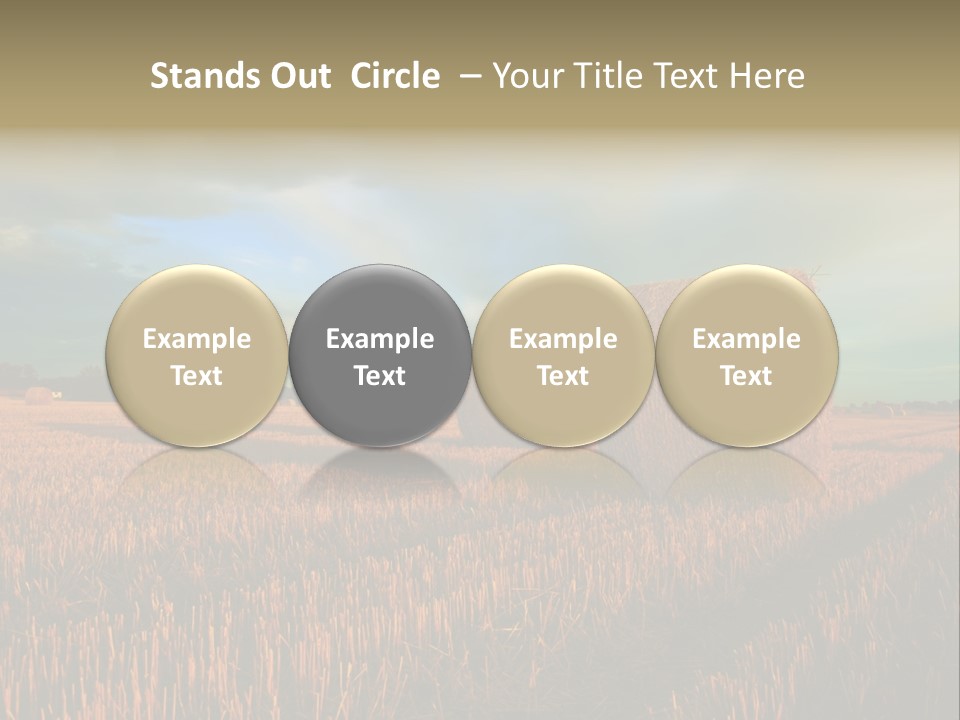 Stump Bale Cutting PowerPoint Template