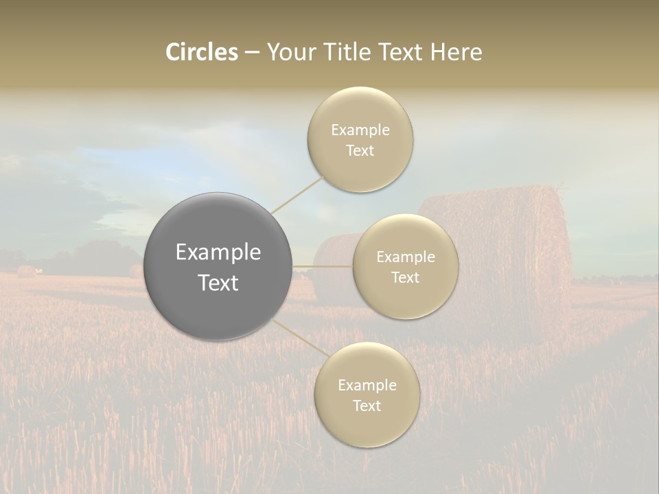 Stump Bale Cutting PowerPoint Template