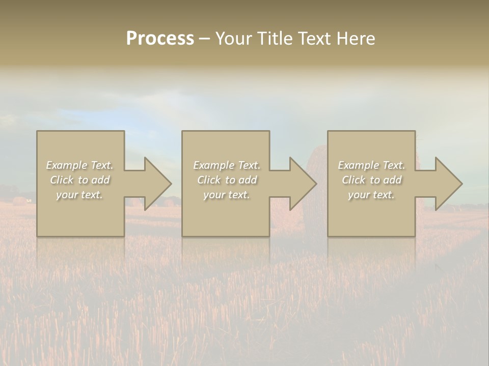 Stump Bale Cutting PowerPoint Template