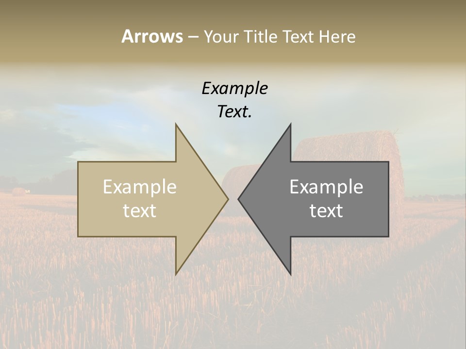 Stump Bale Cutting PowerPoint Template