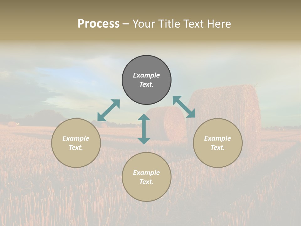 Stump Bale Cutting PowerPoint Template