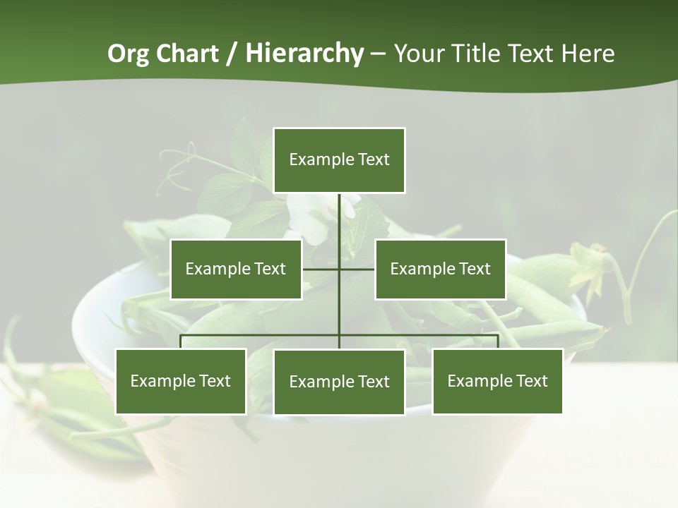 Freshness Pea Leaf PowerPoint Template