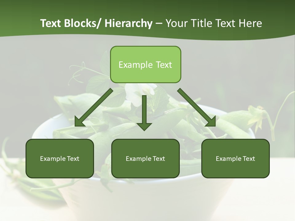 Freshness Pea Leaf PowerPoint Template