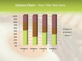 Plate Hungry Breakfast PowerPoint Template