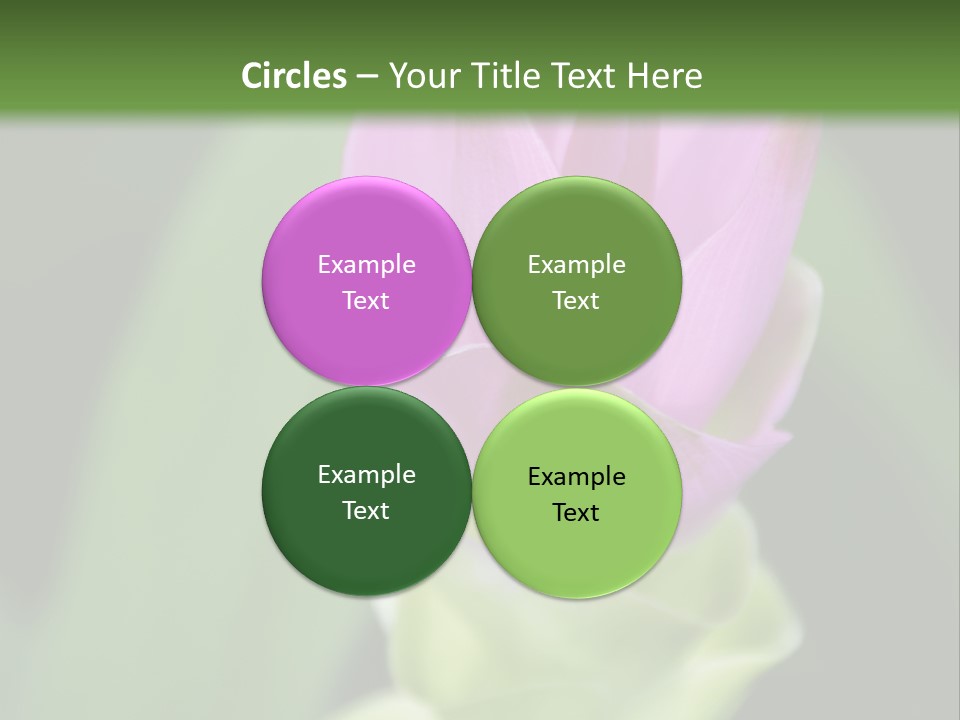 Medicinal Tropic Fragrant PowerPoint Template