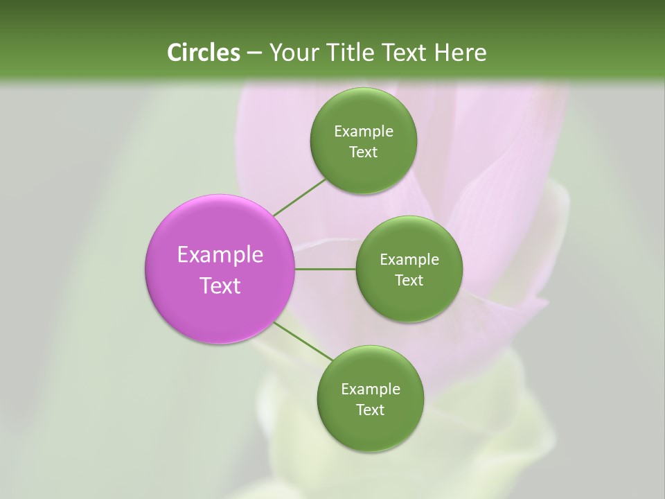 Medicinal Tropic Fragrant PowerPoint Template