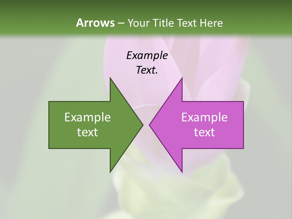 Medicinal Tropic Fragrant PowerPoint Template