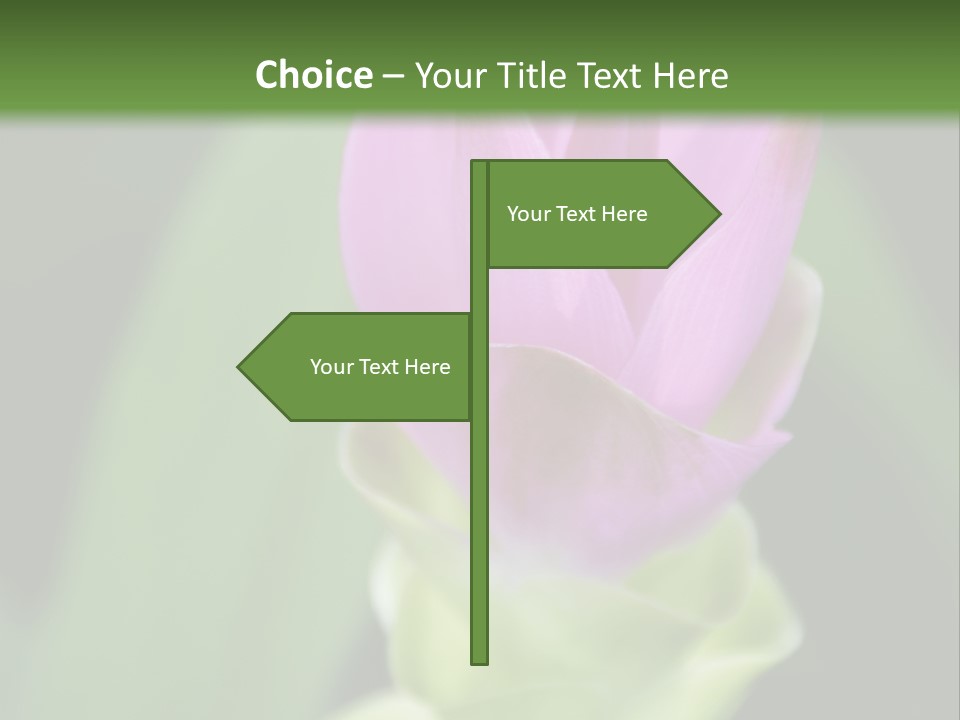 Medicinal Tropic Fragrant PowerPoint Template