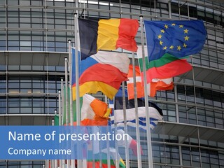 Europe Council Coloured PowerPoint Template