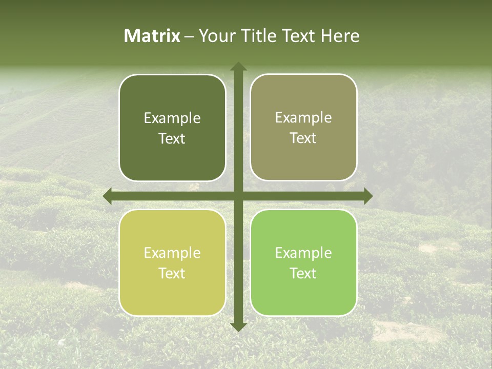 Plants Horizontal Gradient PowerPoint Template