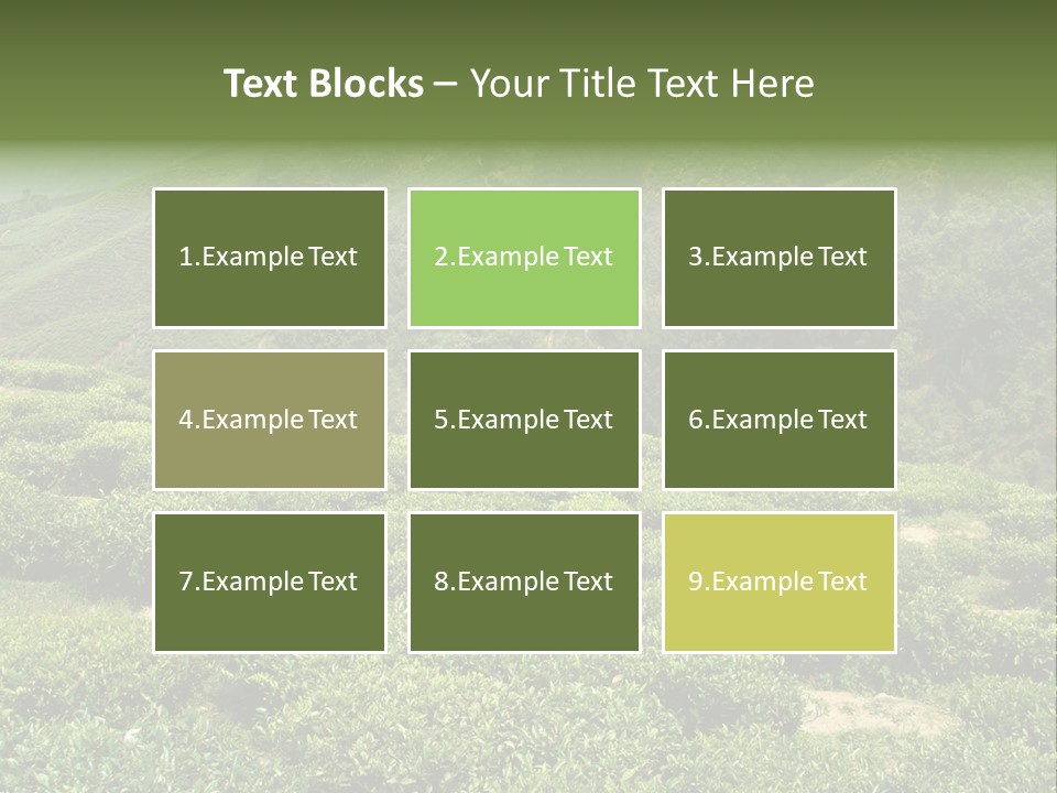 Plants Horizontal Gradient PowerPoint Template