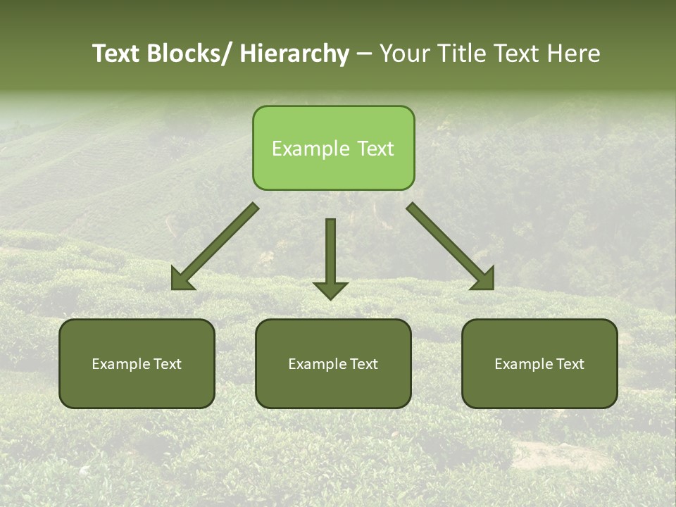 Plants Horizontal Gradient PowerPoint Template