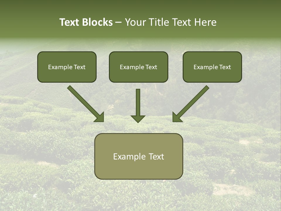 Plants Horizontal Gradient PowerPoint Template