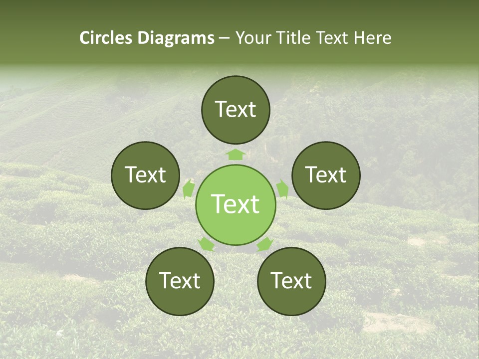 Plants Horizontal Gradient PowerPoint Template