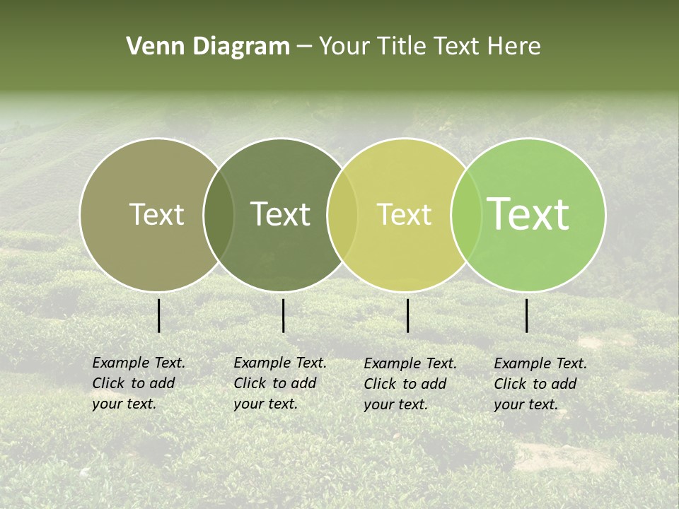 Plants Horizontal Gradient PowerPoint Template
