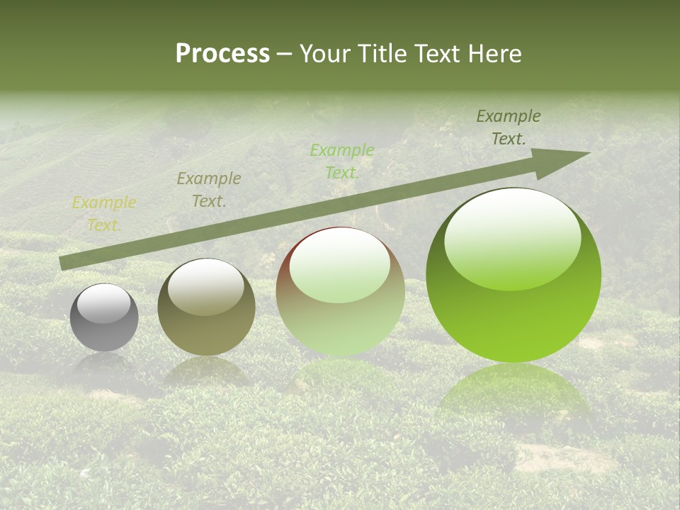 Plants Horizontal Gradient PowerPoint Template