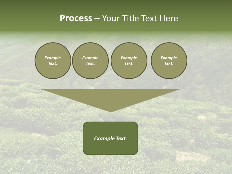 Plants Horizontal Gradient PowerPoint Template