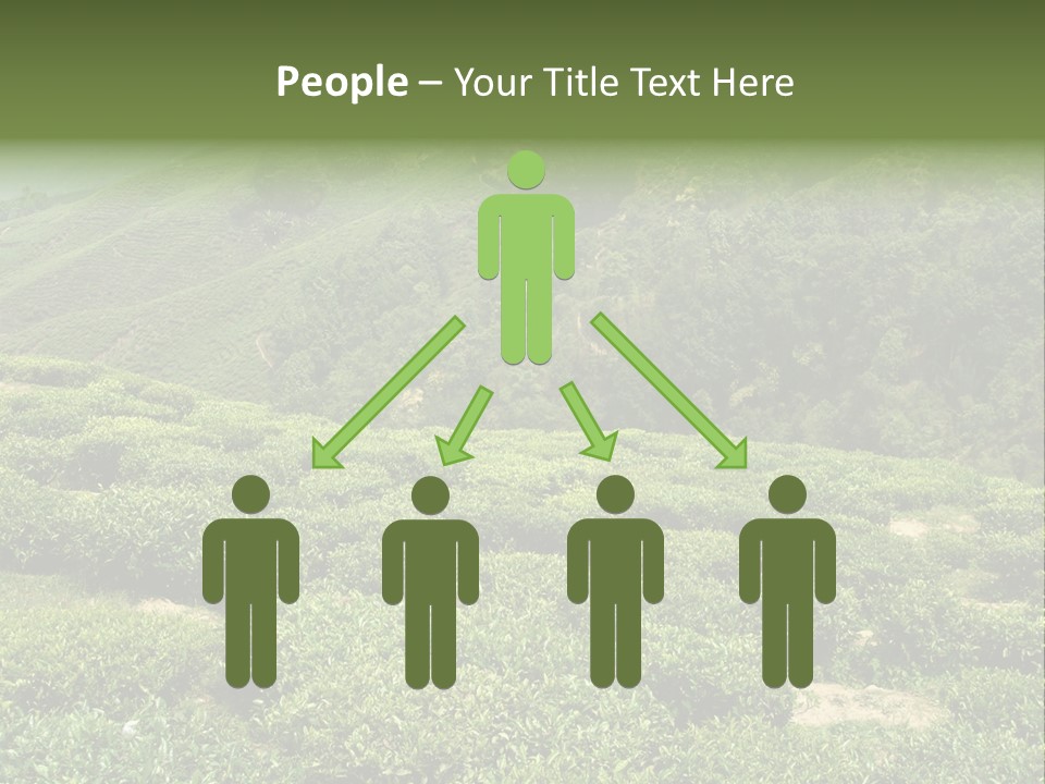 Plants Horizontal Gradient PowerPoint Template