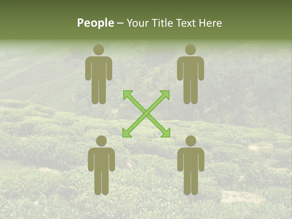 Plants Horizontal Gradient PowerPoint Template