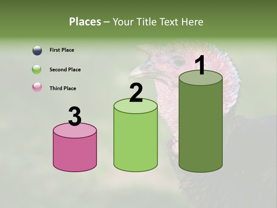 Livestock Landscape Wattle PowerPoint Template