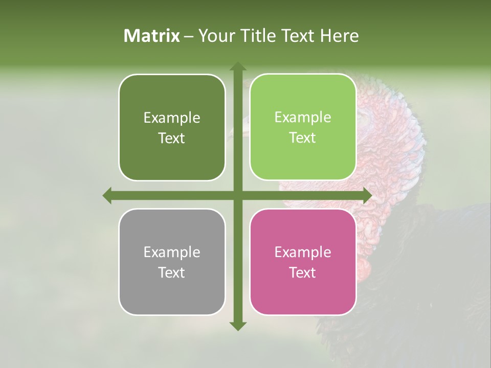 Livestock Landscape Wattle PowerPoint Template